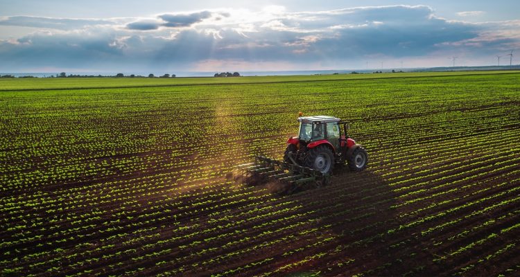 Agricultural Machinery Tractor Cultivating Field In Summer